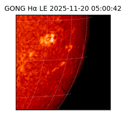 gong - 2025-11-20T05:00:42
