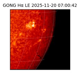 gong - 2025-11-20T07:00:42