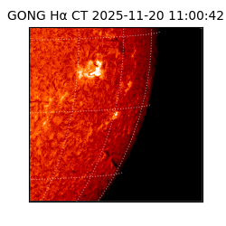 gong - 2025-11-20T11:00:42