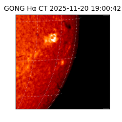gong - 2025-11-20T19:00:42