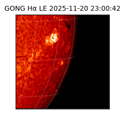 gong - 2025-11-20T23:00:42