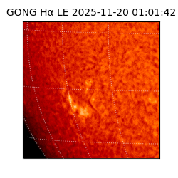 gong - 2025-11-20T01:01:42