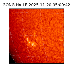 gong - 2025-11-20T05:00:42