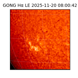 gong - 2025-11-20T08:00:42