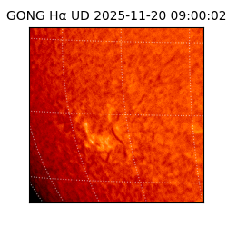 gong - 2025-11-20T09:00:02