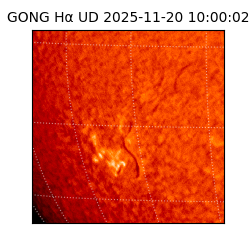 gong - 2025-11-20T10:00:02