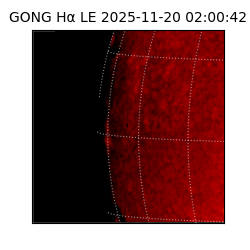 gong - 2025-11-20T02:00:42