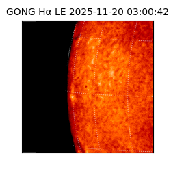 gong - 2025-11-20T03:00:42
