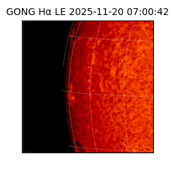 gong - 2025-11-20T07:00:42