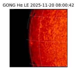 gong - 2025-11-20T08:00:42