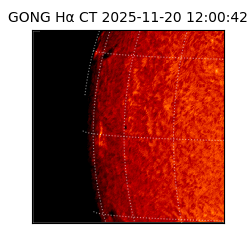 gong - 2025-11-20T12:00:42