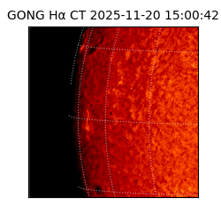 gong - 2025-11-20T15:00:42