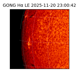gong - 2025-11-20T23:00:42