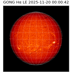 gong - 2025-11-20T00:00:42