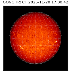 gong - 2025-11-20T17:00:42