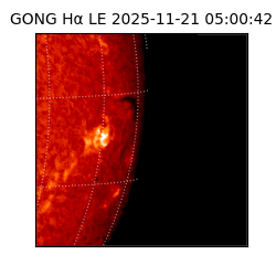 gong - 2025-11-21T05:00:42