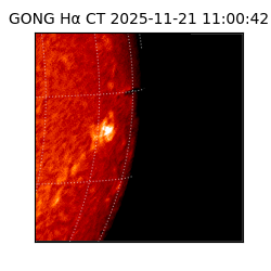 gong - 2025-11-21T11:00:42