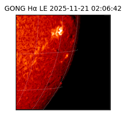 gong - 2025-11-21T02:06:42