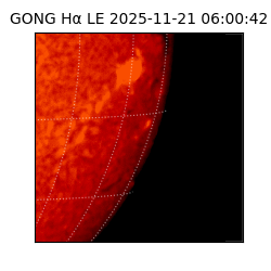 gong - 2025-11-21T06:00:42