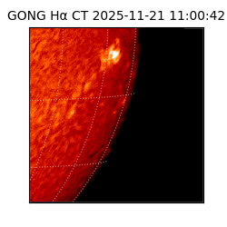 gong - 2025-11-21T11:00:42