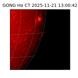 gong - 2025-11-21T13:00:42