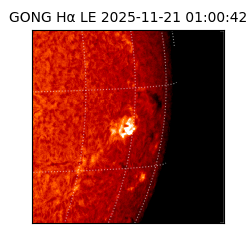 gong - 2025-11-21T01:00:42