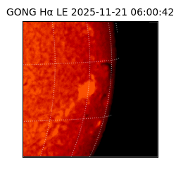 gong - 2025-11-21T06:00:42