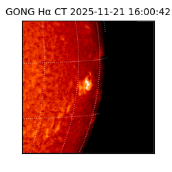 gong - 2025-11-21T16:00:42