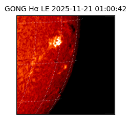 gong - 2025-11-21T01:00:42