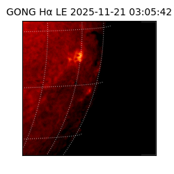 gong - 2025-11-21T03:05:42