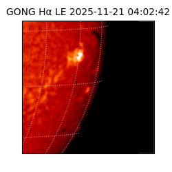 gong - 2025-11-21T04:02:42