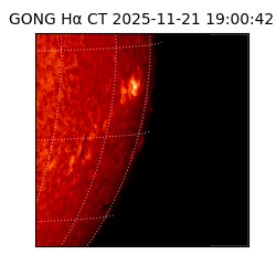 gong - 2025-11-21T19:00:42