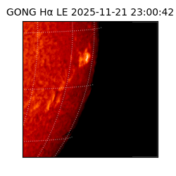 gong - 2025-11-21T23:00:42