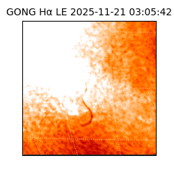 gong - 2025-11-21T03:05:42
