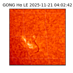 gong - 2025-11-21T04:02:42