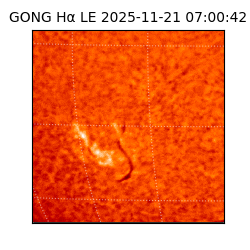 gong - 2025-11-21T07:00:42