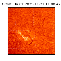 gong - 2025-11-21T11:00:42