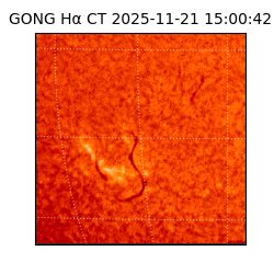 gong - 2025-11-21T15:00:42