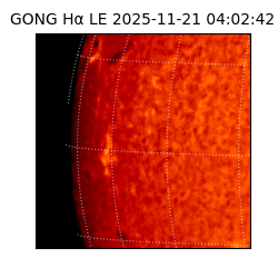 gong - 2025-11-21T04:02:42