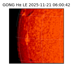 gong - 2025-11-21T06:00:42