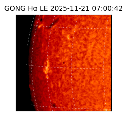 gong - 2025-11-21T07:00:42