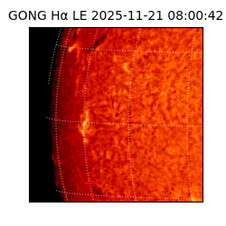 gong - 2025-11-21T08:00:42