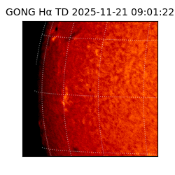 gong - 2025-11-21T09:01:22