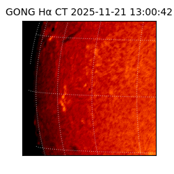 gong - 2025-11-21T13:00:42