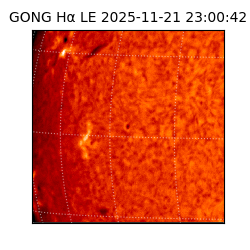 gong - 2025-11-21T23:00:42