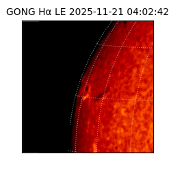 gong - 2025-11-21T04:02:42