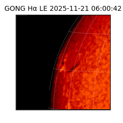 gong - 2025-11-21T06:00:42