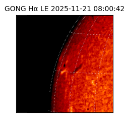 gong - 2025-11-21T08:00:42