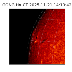 gong - 2025-11-21T14:10:42