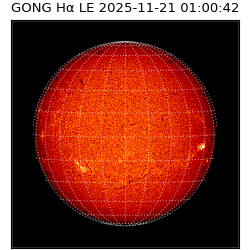 gong - 2025-11-21T01:00:42